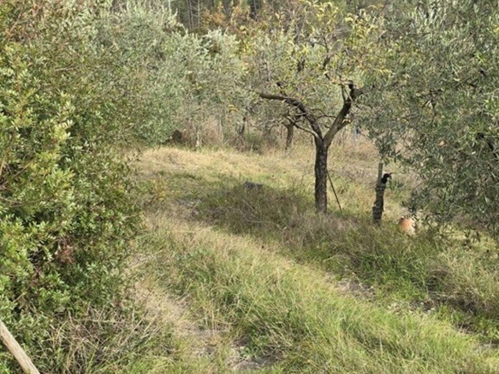 immagine annuncio 2 di 4