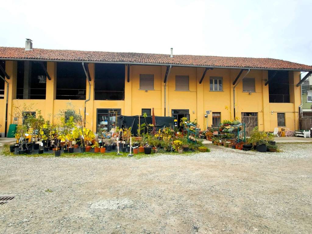 immagine annuncio 1 di 5