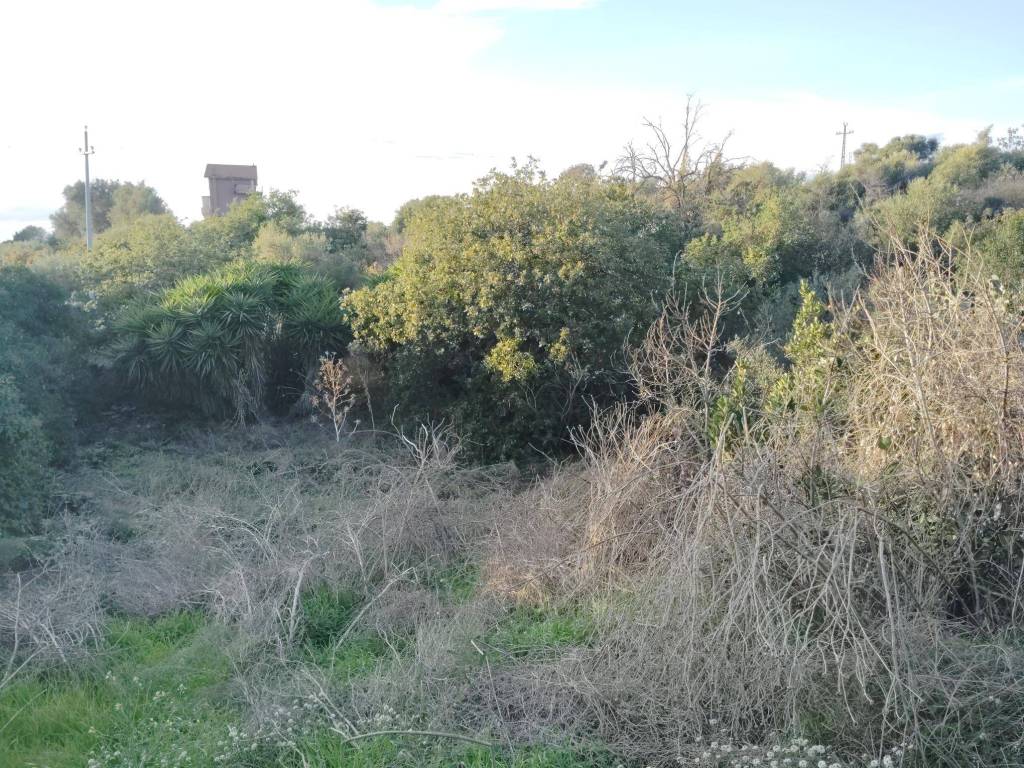 immagine annuncio 2 di 3