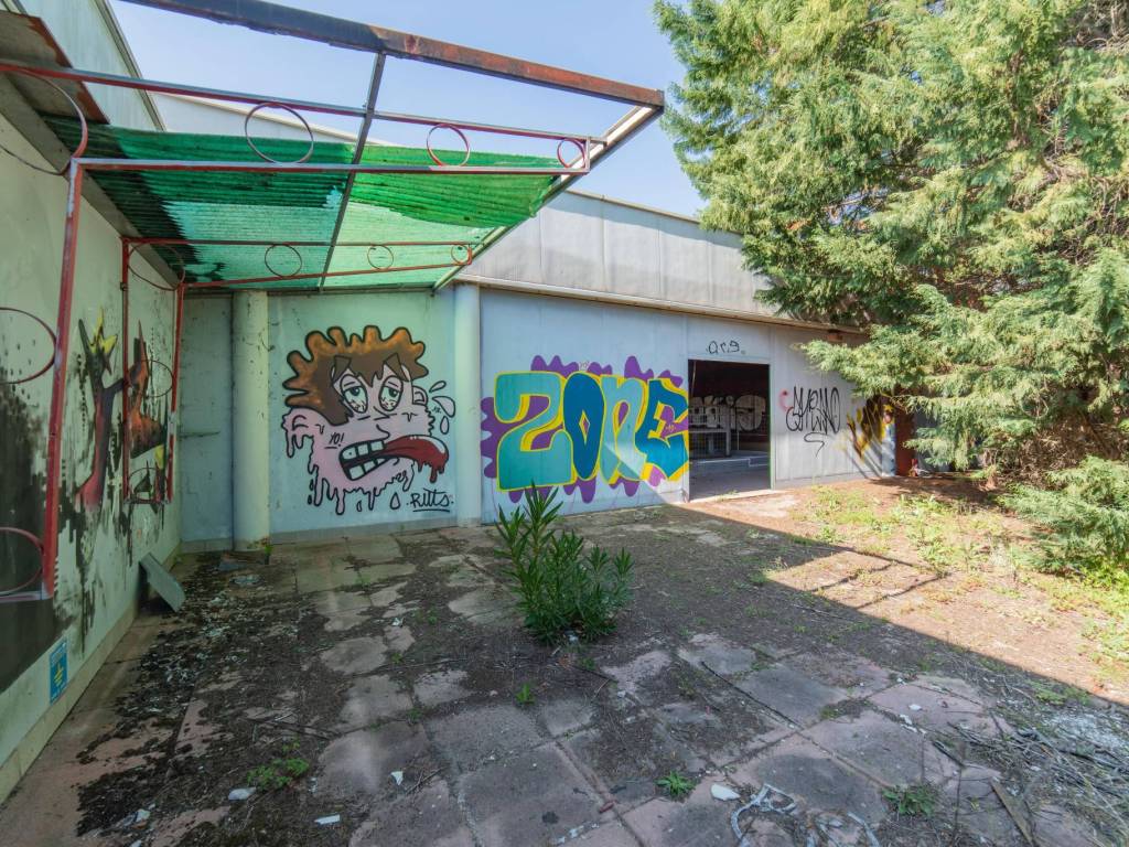 immagine annuncio 4 di 5