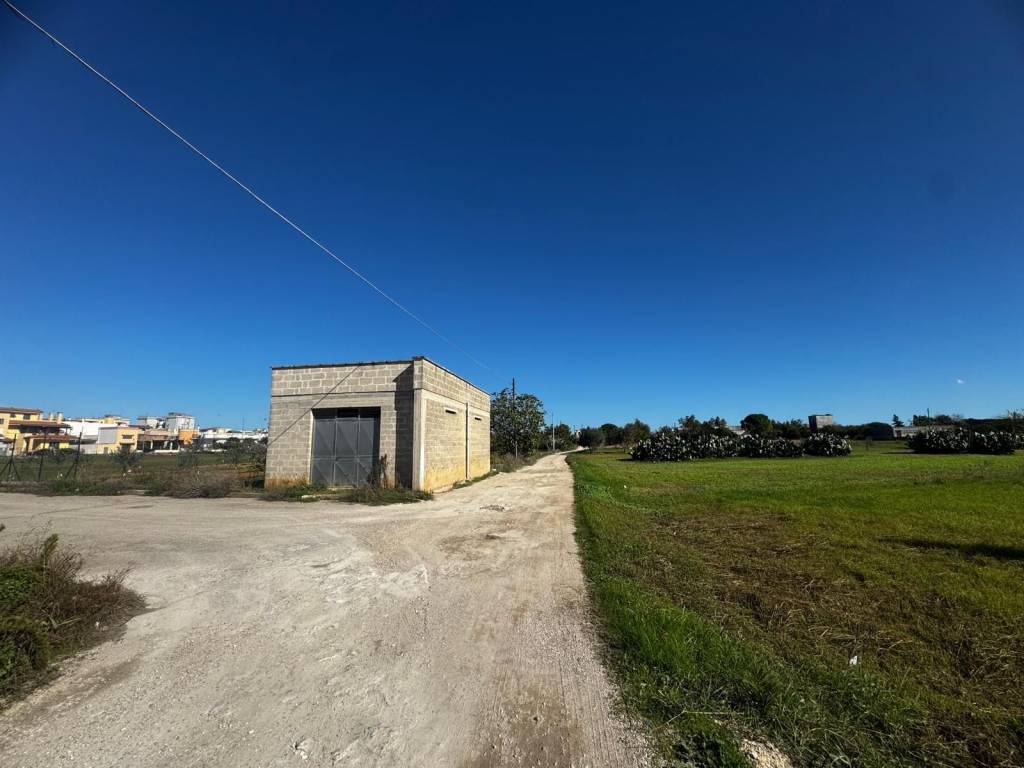 immagine annuncio 3 di 5