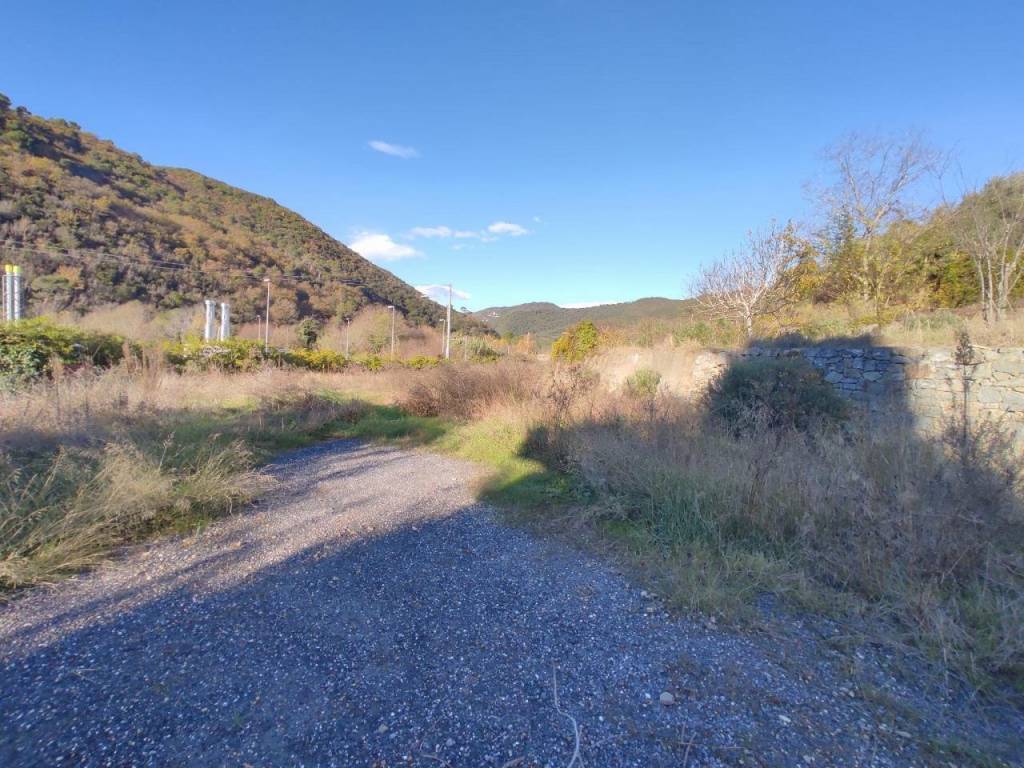 immagine annuncio 2 di 3