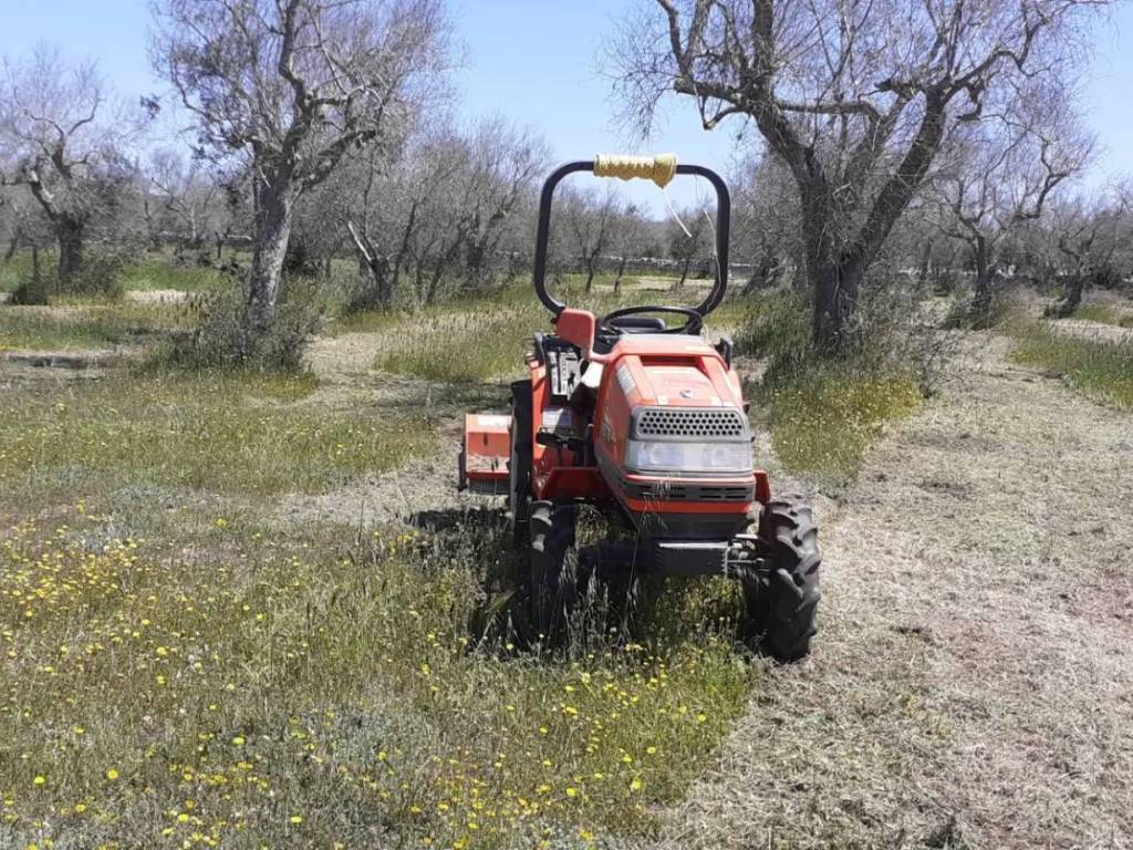 immagine annuncio 3 di 5