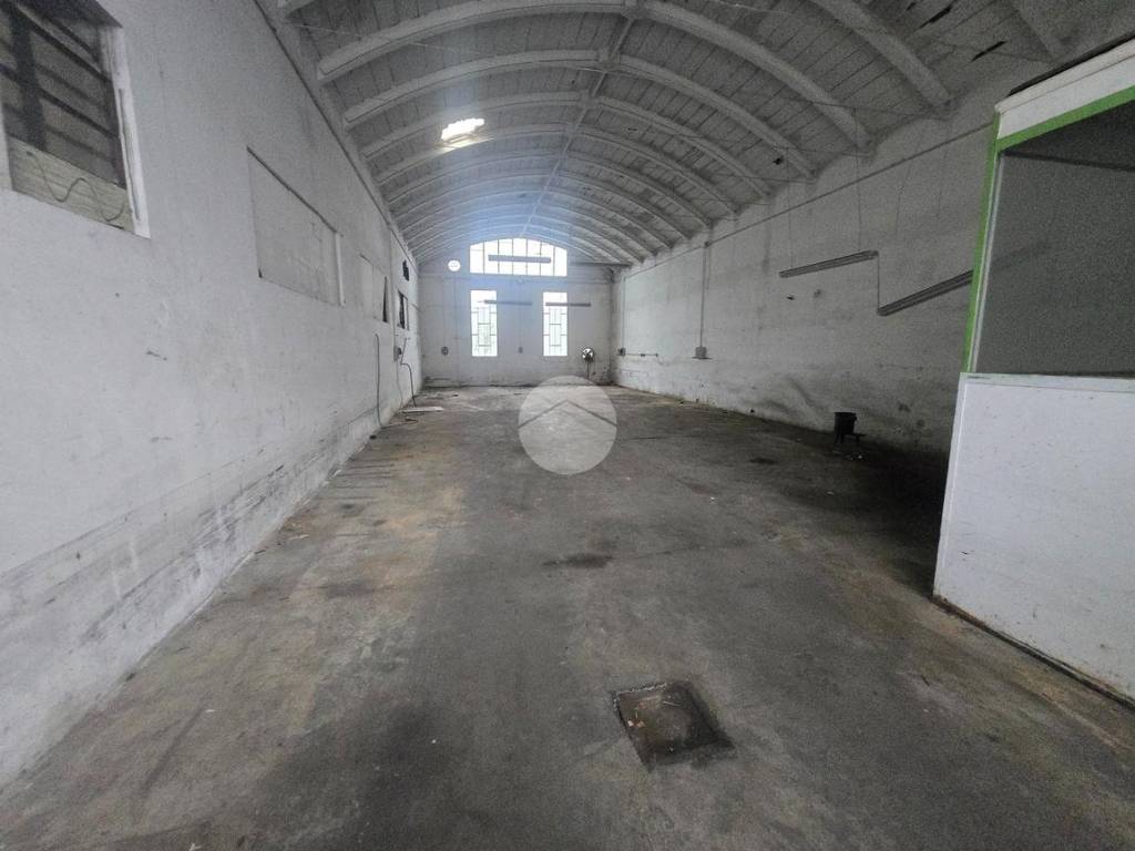 immagine annuncio 1 di 4