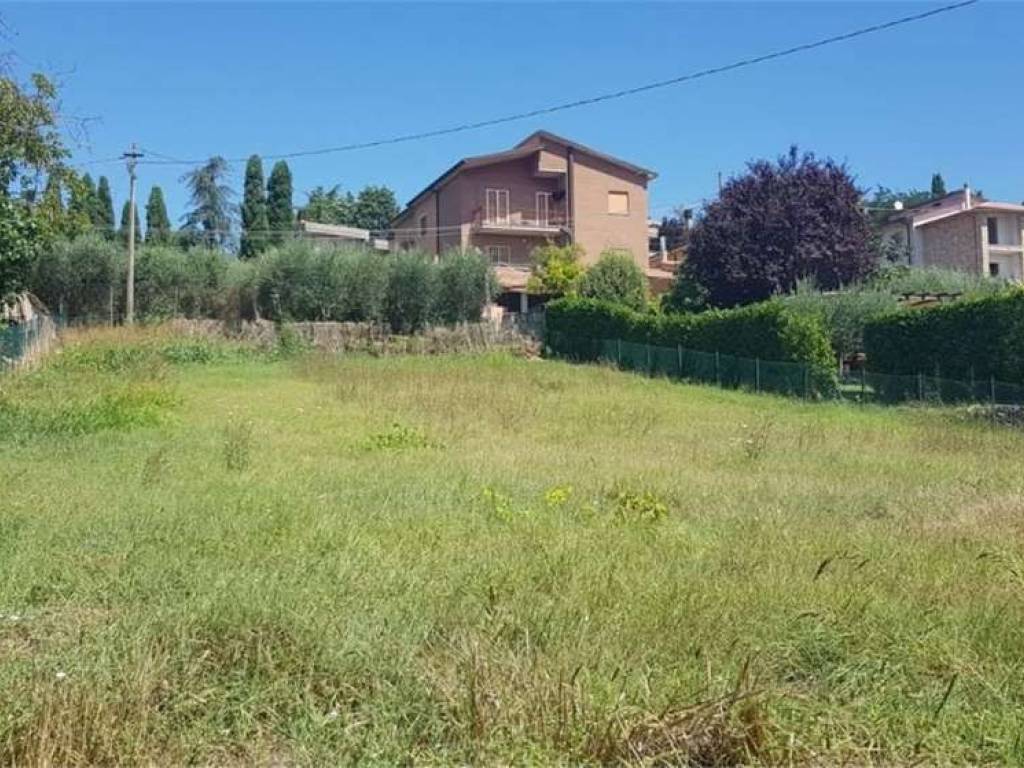 immagine annuncio 1 di 2