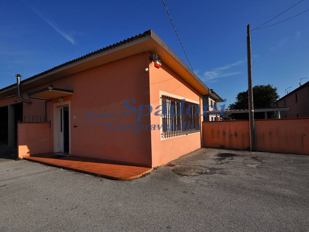 immagine annuncio 2 di 5