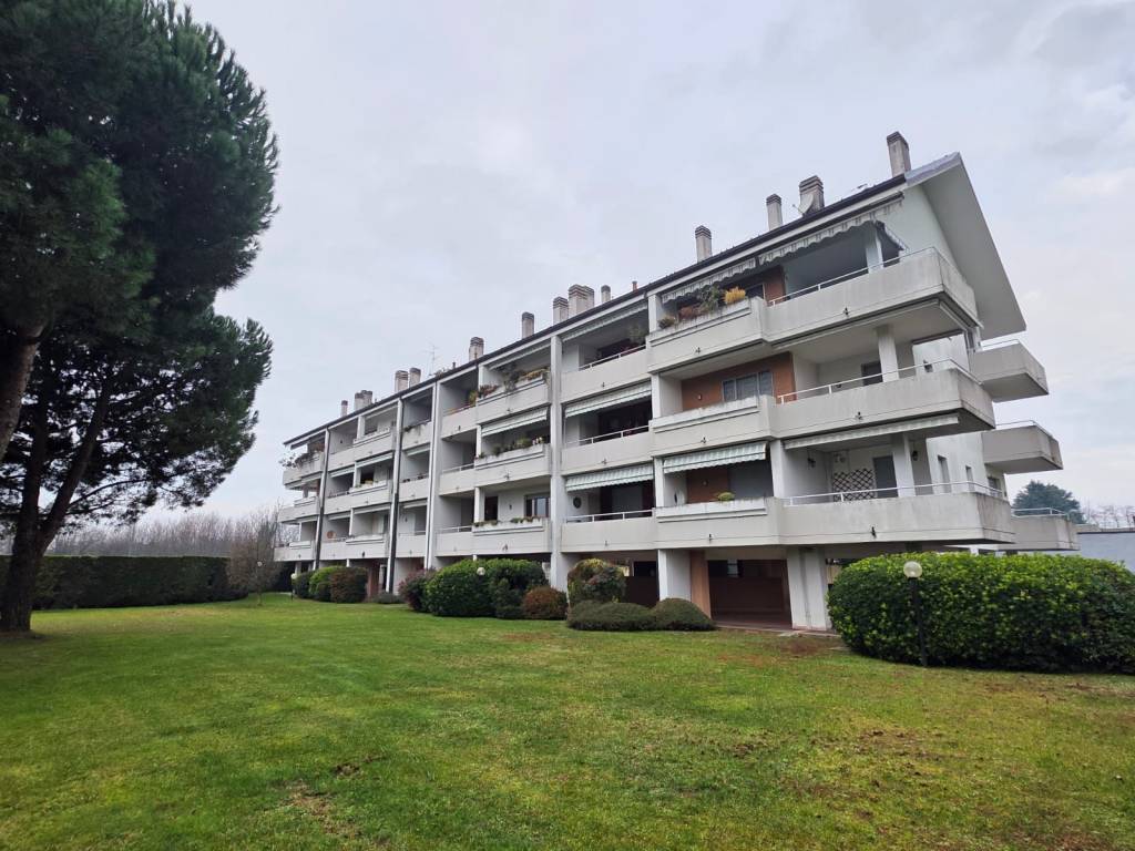 immagine annuncio 2 di 5