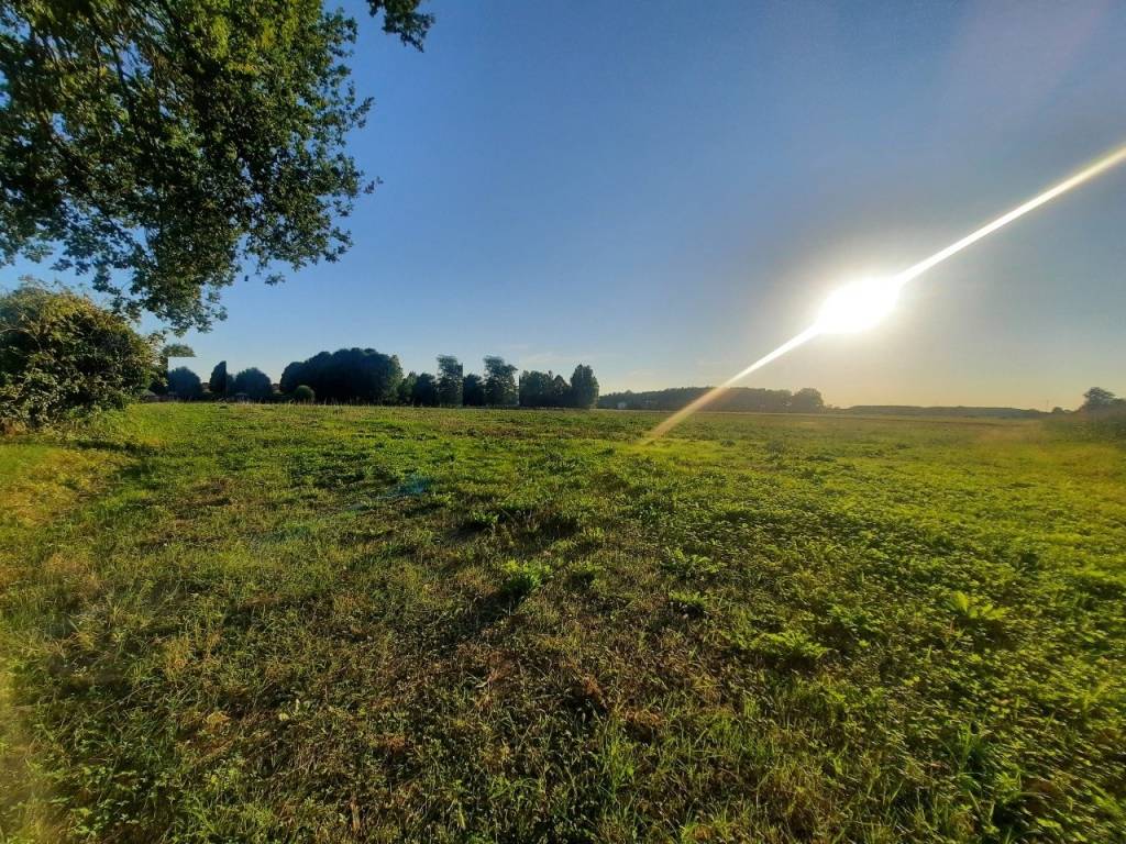 immagine annuncio 2 di 3