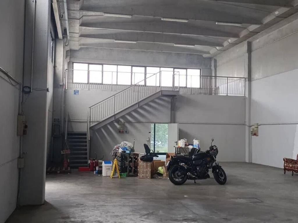 immagine annuncio 2 di 5