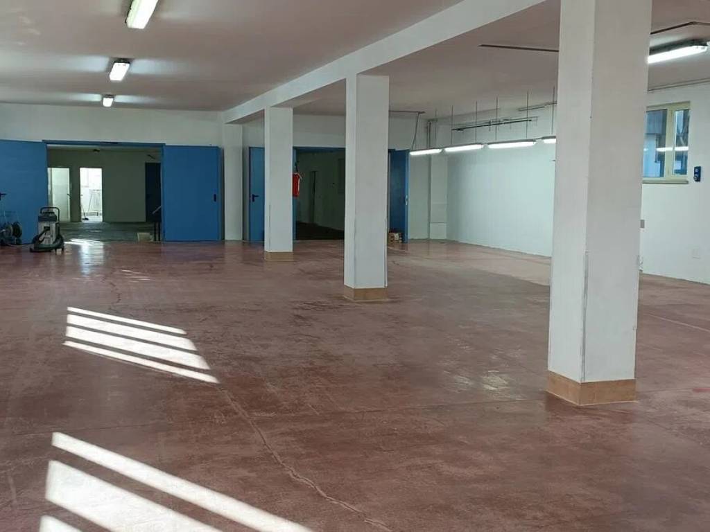 immagine annuncio 4 di 5