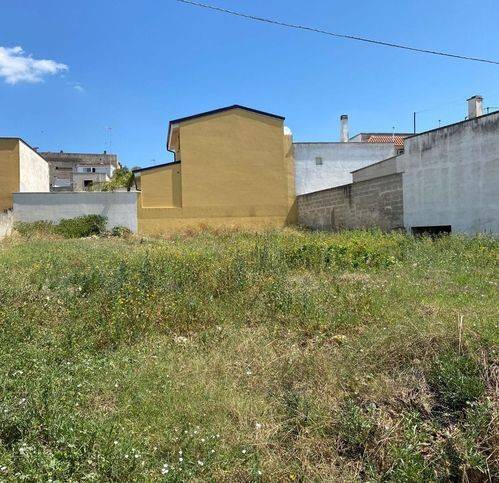 immagine annuncio 1 di 3