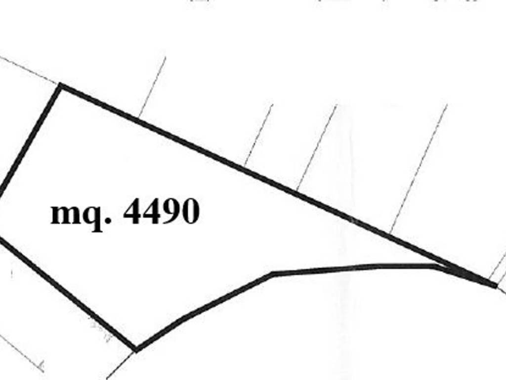 immagine annuncio 3 di 4