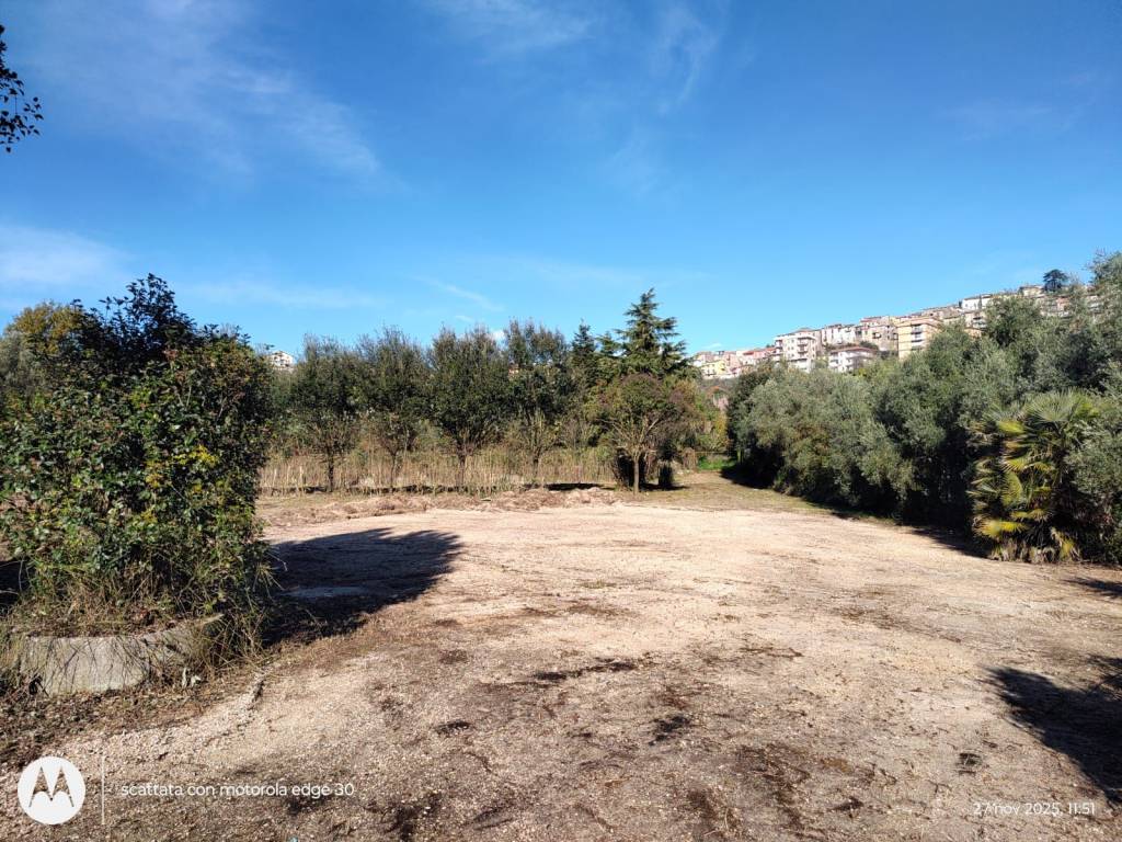 immagine annuncio 1 di 3