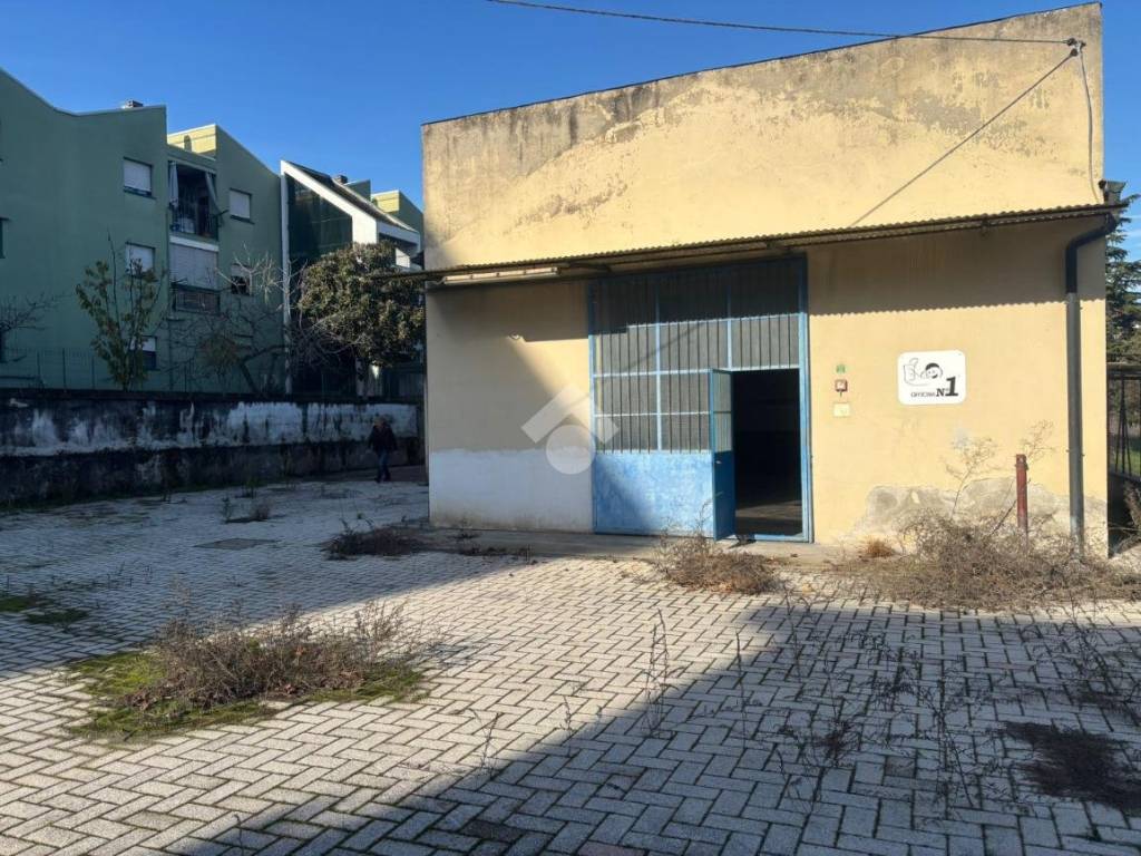 immagine annuncio 2 di 5