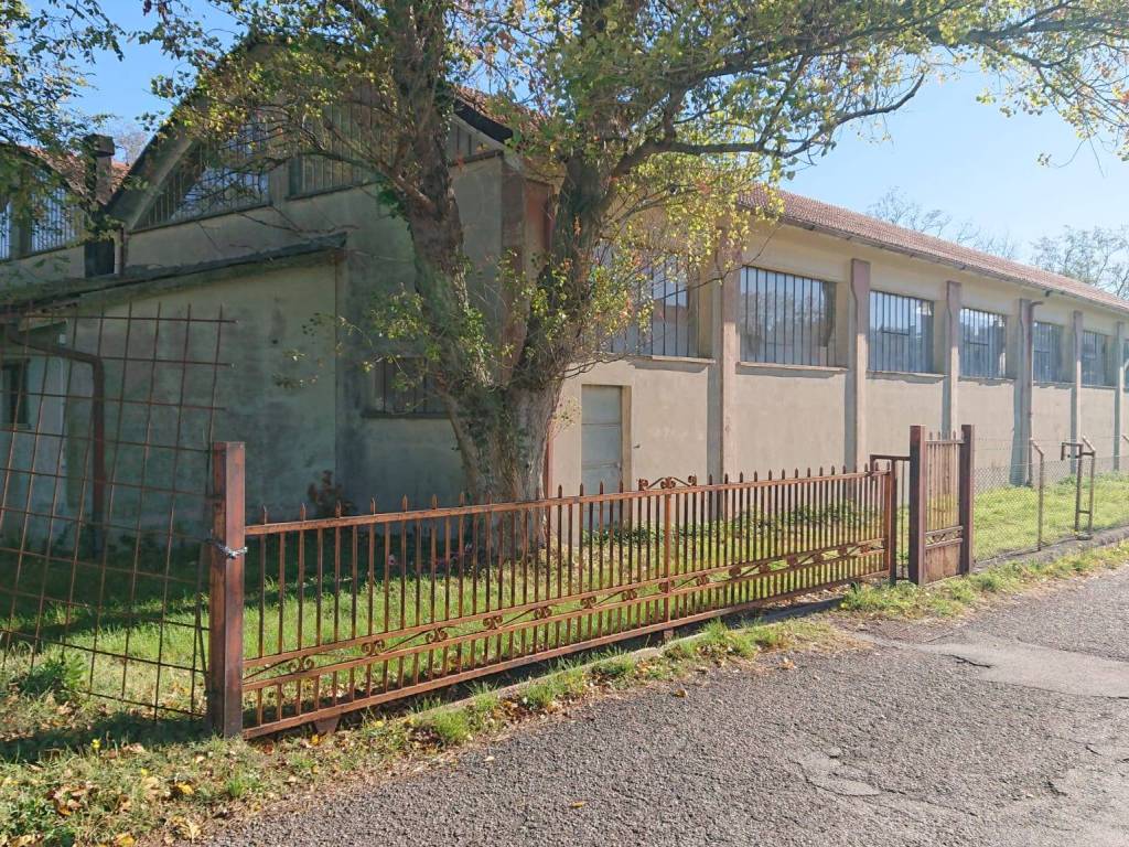 immagine annuncio 3 di 5