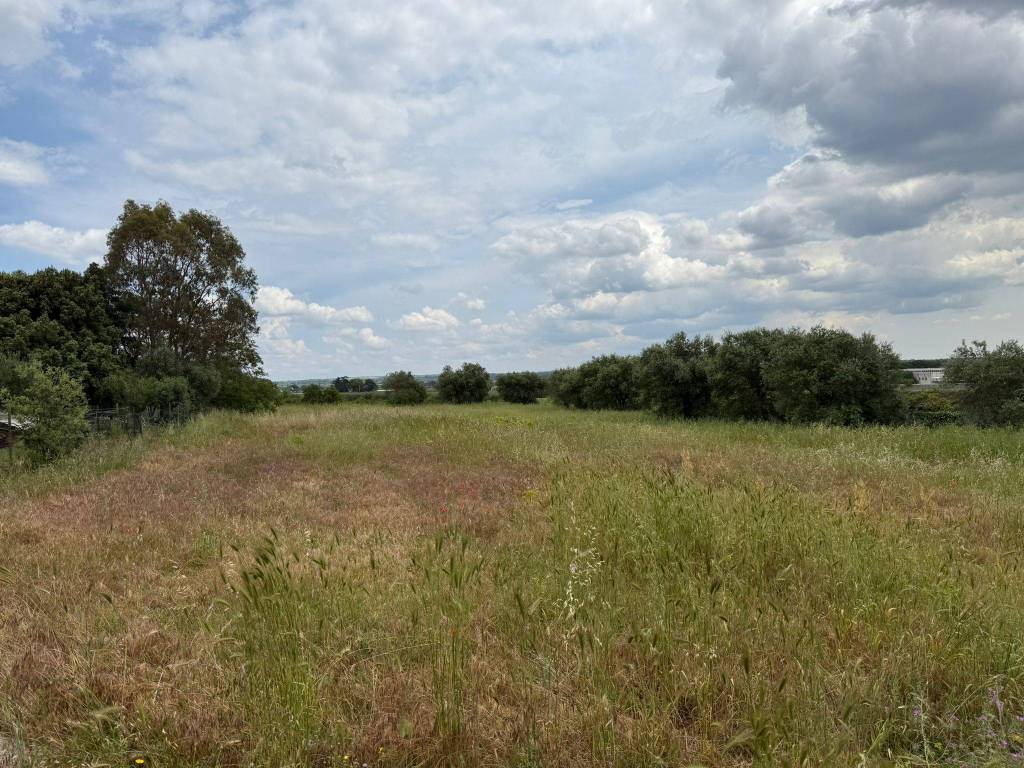 immagine annuncio 2 di 3