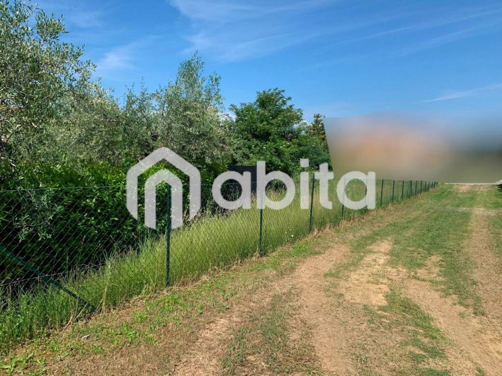 immagine annuncio 3 di 4