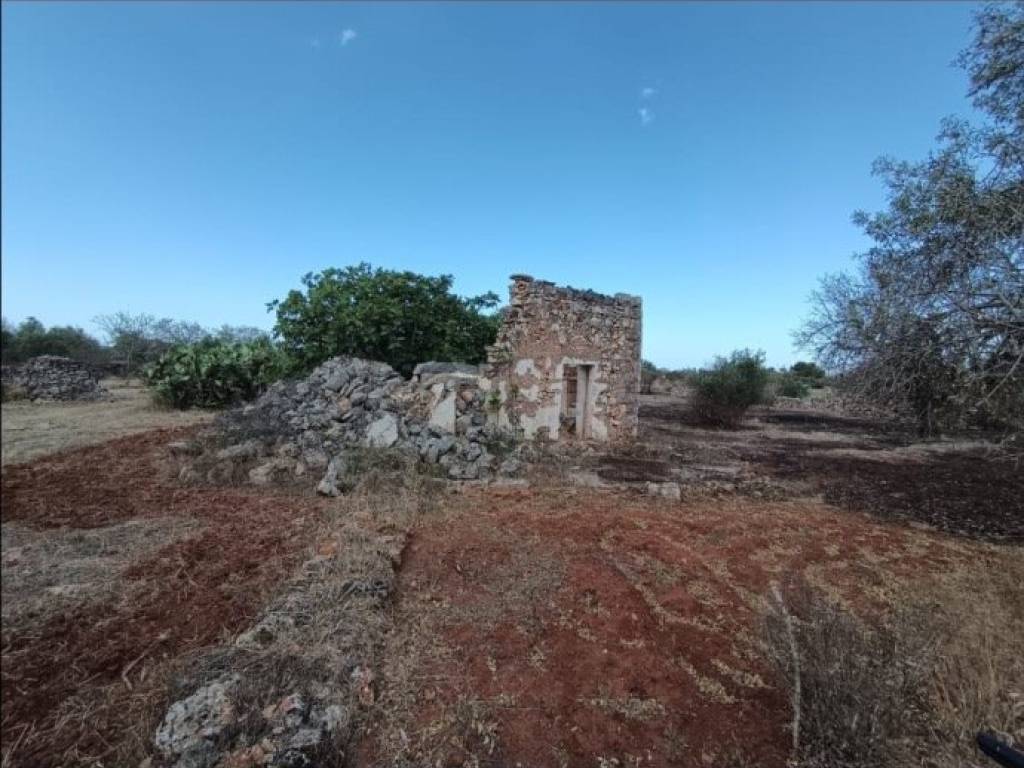 immagine annuncio 3 di 4