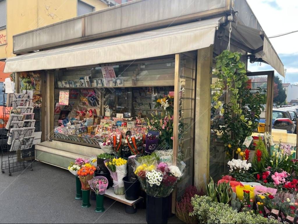 immagine annuncio 1 di 5