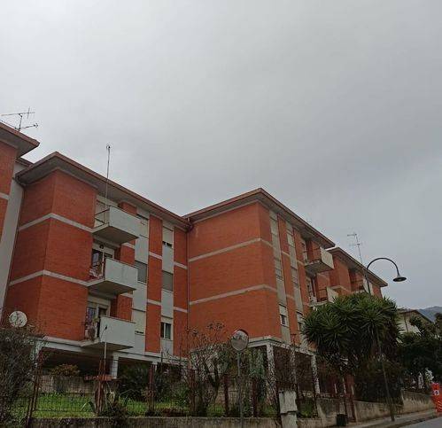 immagine annuncio 1 di 4