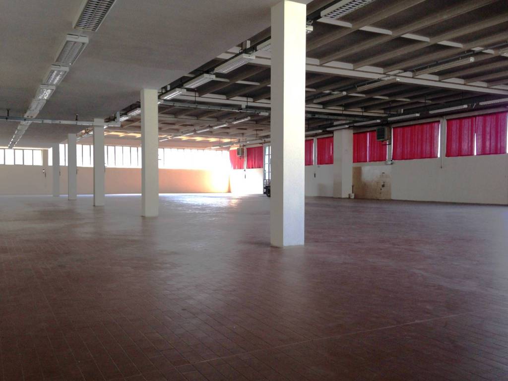 immagine annuncio 4 di 5