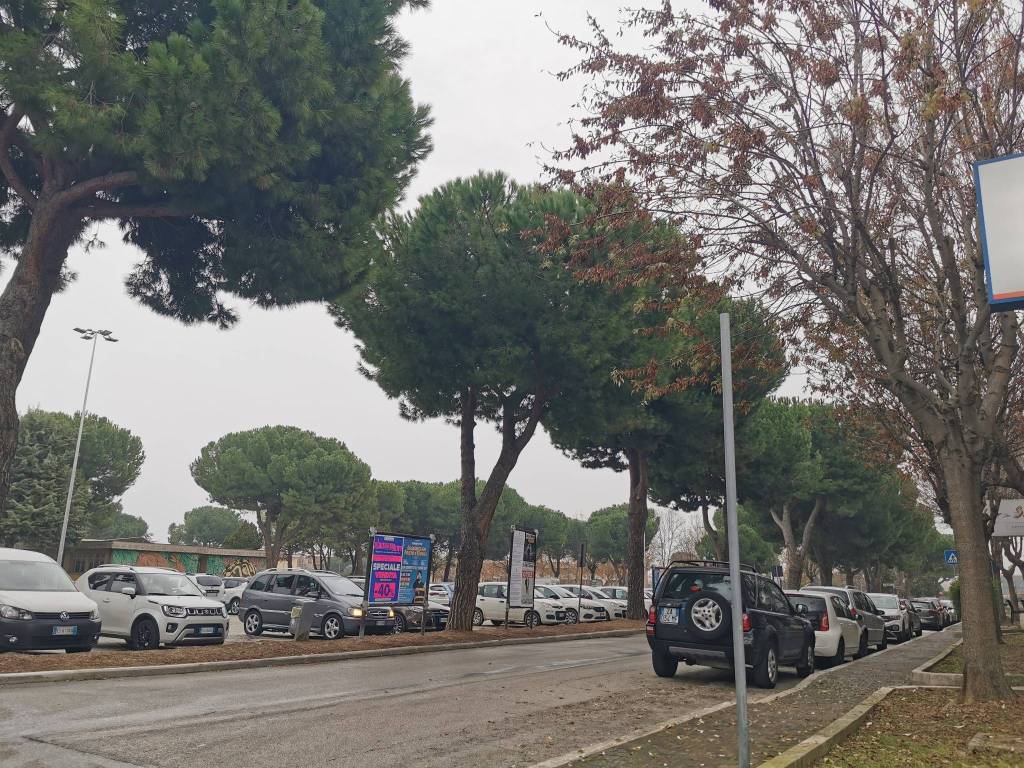 immagine annuncio 2 di 3