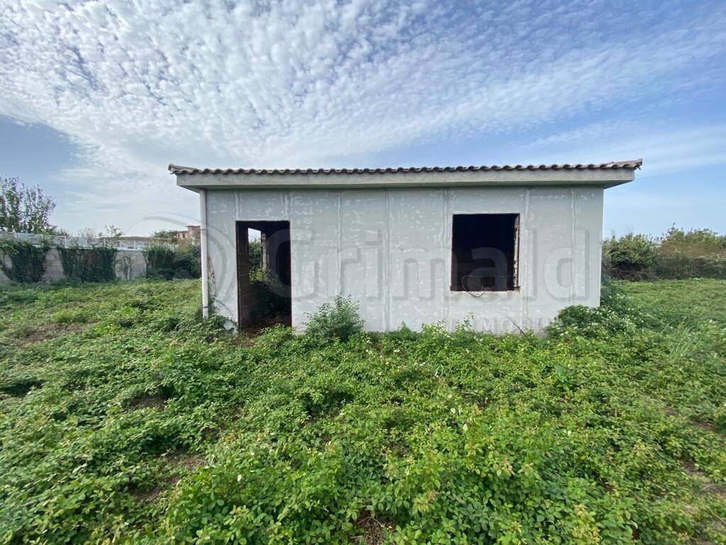 immagine annuncio 1 di 4