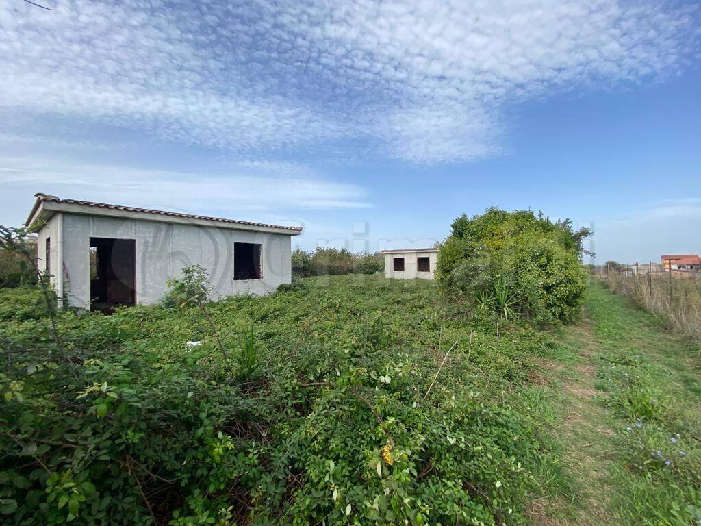 immagine annuncio 2 di 4