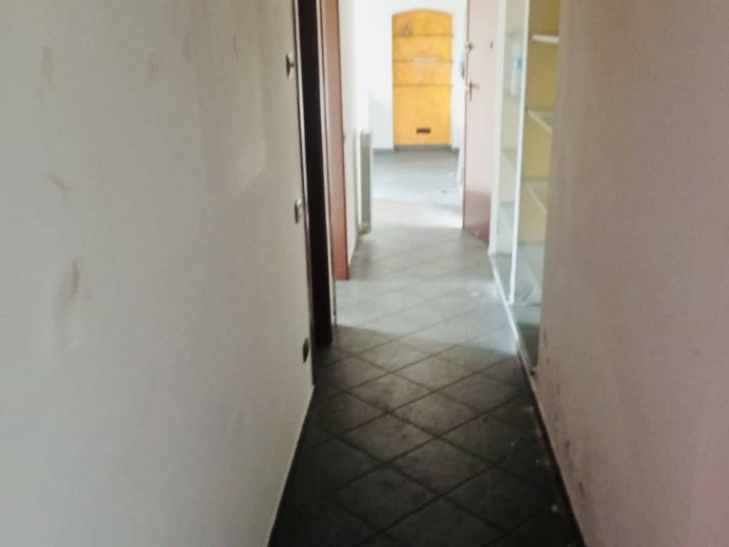 immagine annuncio 1 di 4