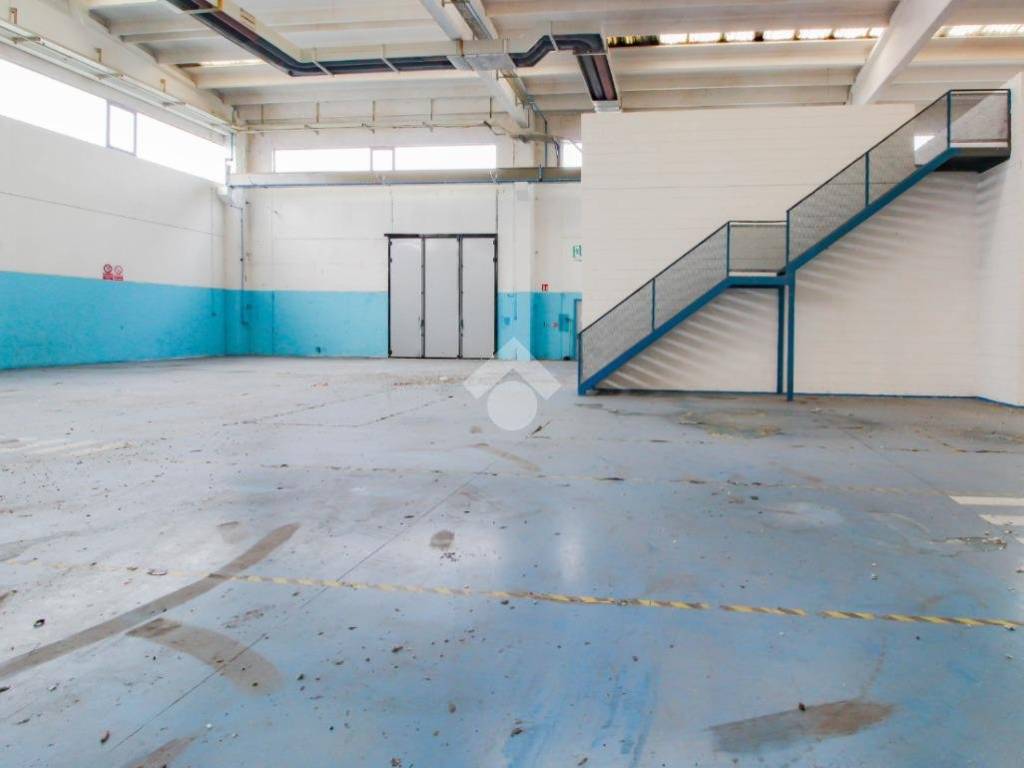 immagine annuncio 1 di 5