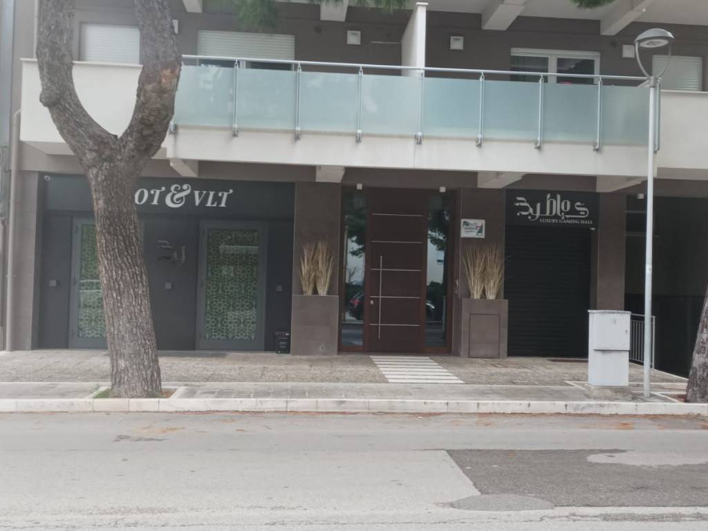 immagine annuncio 1 di 4