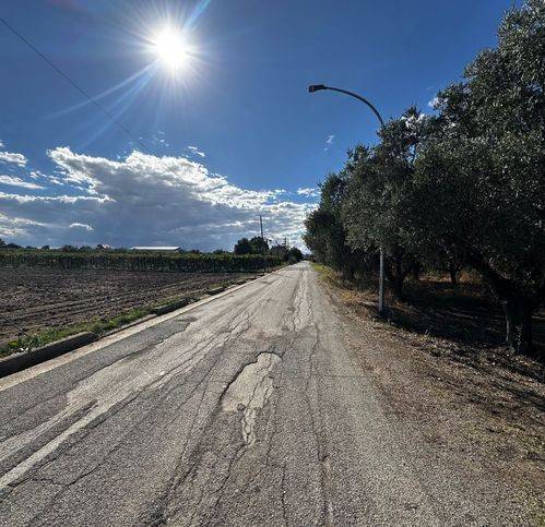 immagine annuncio 2 di 3