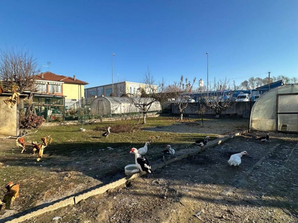 immagine annuncio 2 di 5