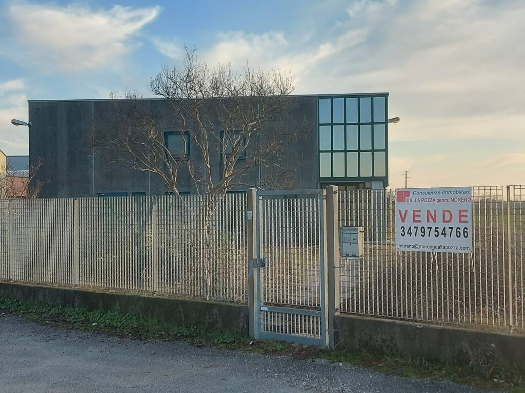 immagine annuncio 2 di 5