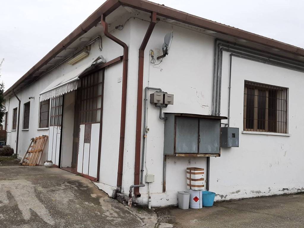 immagine annuncio 2 di 5