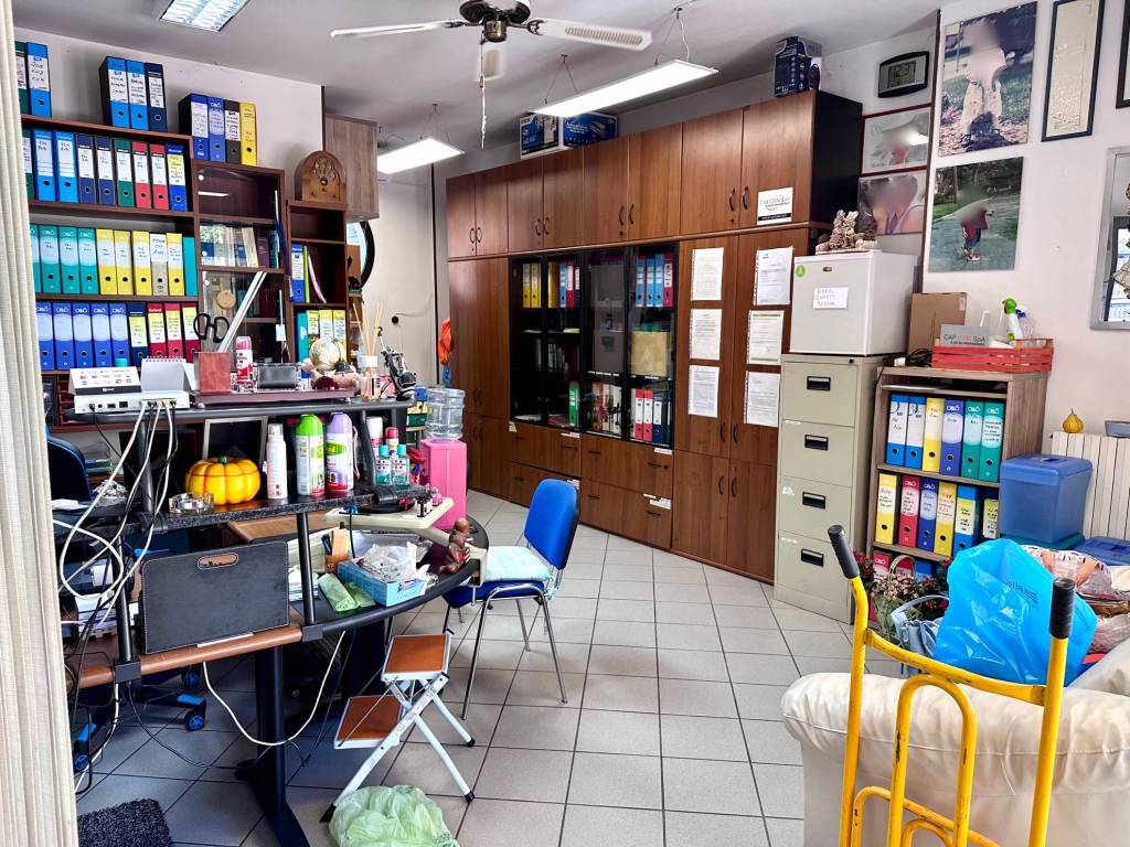 immagine annuncio 2 di 5