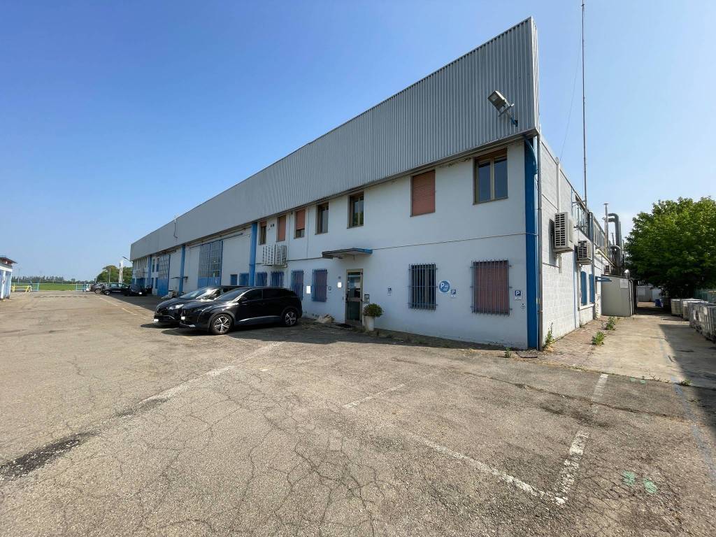 immagine annuncio 4 di 5