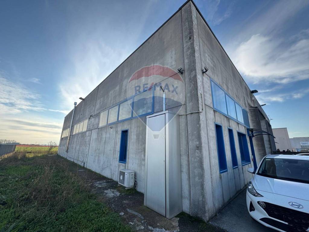 immagine annuncio 4 di 5