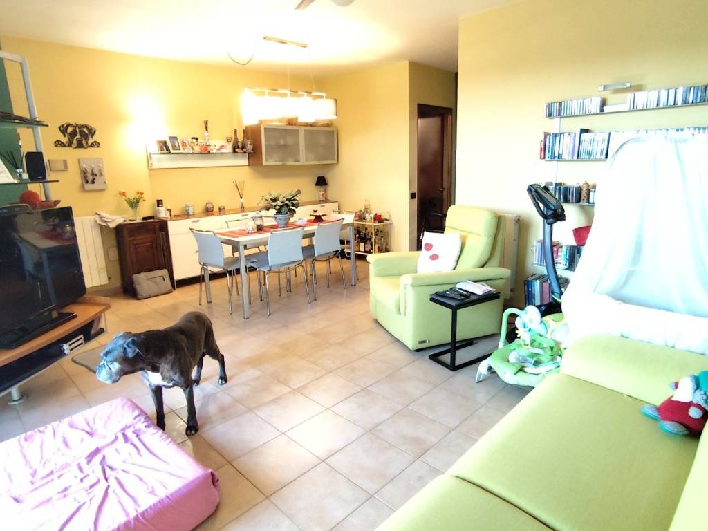 immagine annuncio 2 di 5