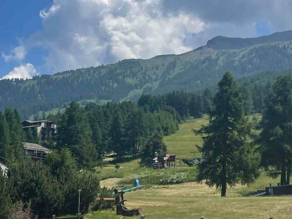 immagine annuncio 1 di 3