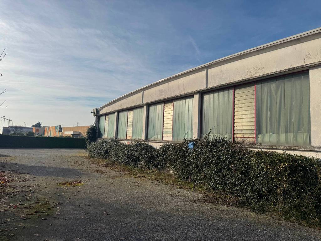 immagine annuncio 3 di 5