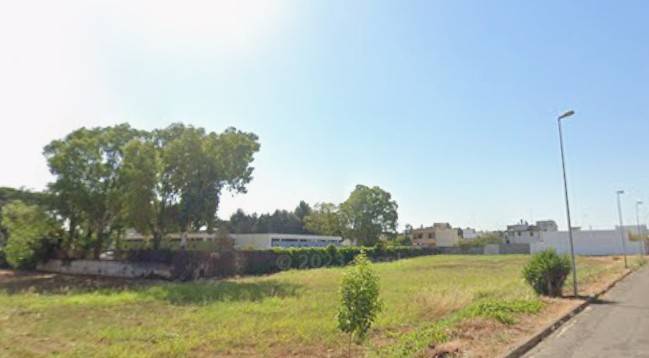 immagine annuncio 3 di 4