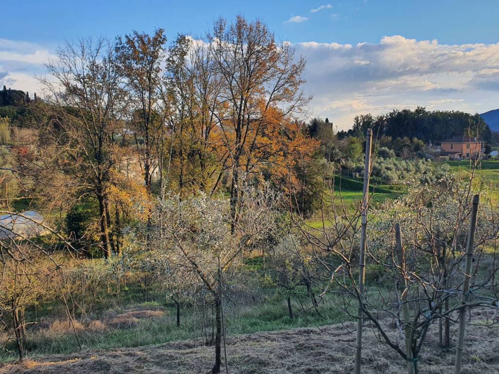 immagine annuncio 1 di 3