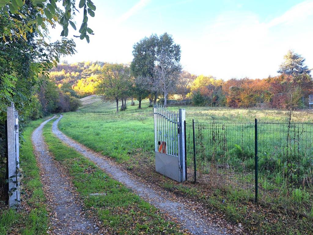 immagine annuncio 1 di 2