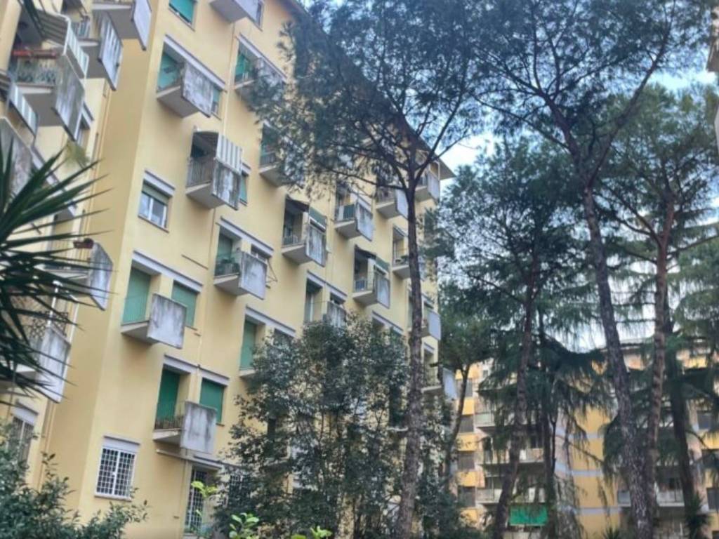 appartamento in vendita a Roma in zona Ardeatino