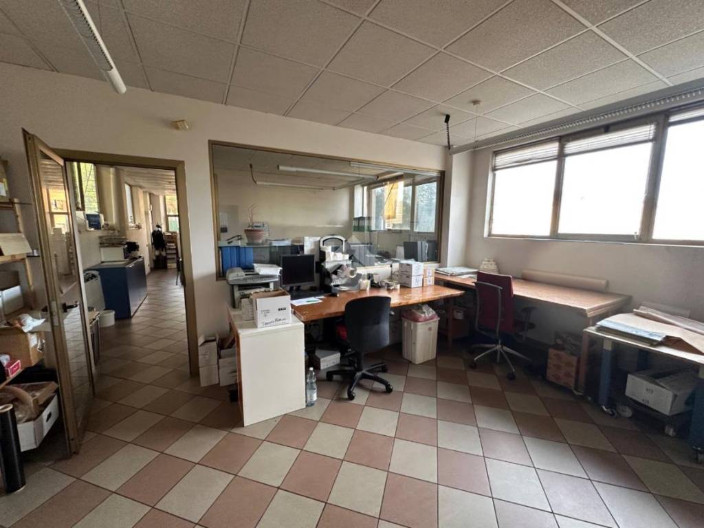 immagine annuncio 2 di 5