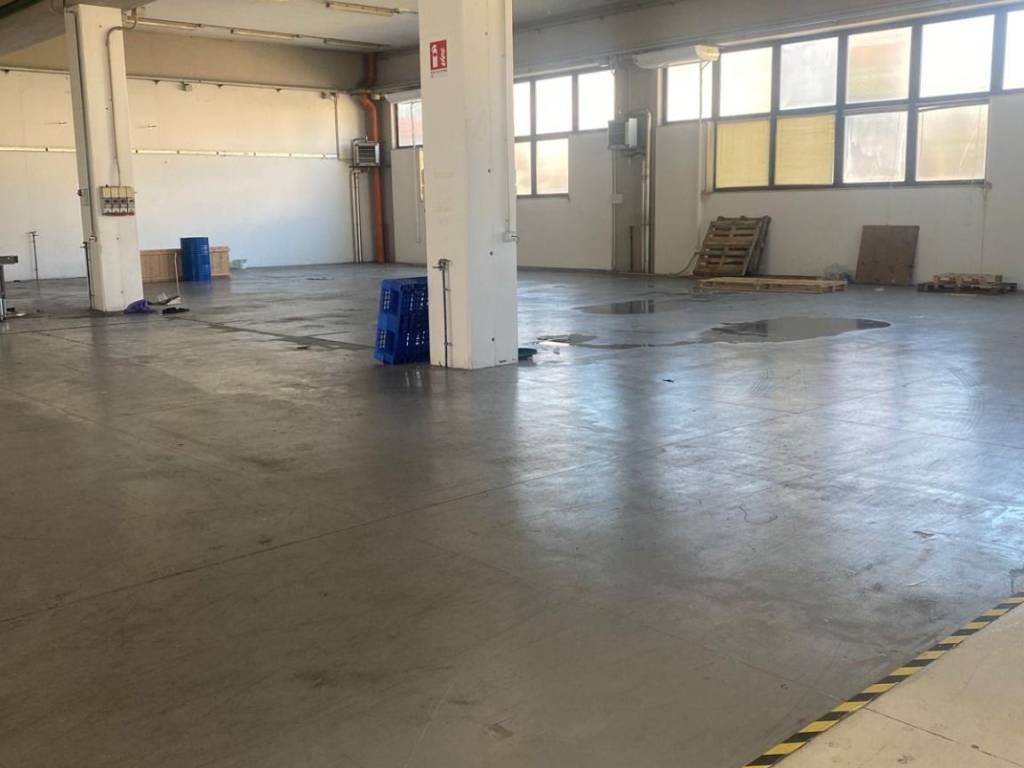 immagine annuncio 1 di 2