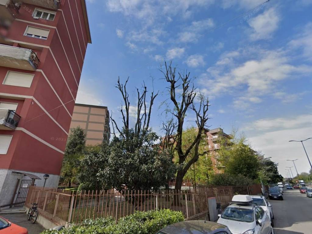 immagine annuncio 1 di 3