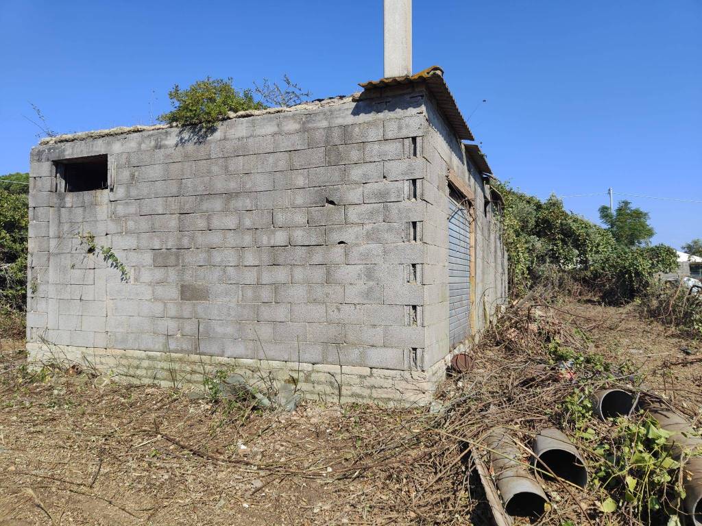 immagine annuncio 3 di 5