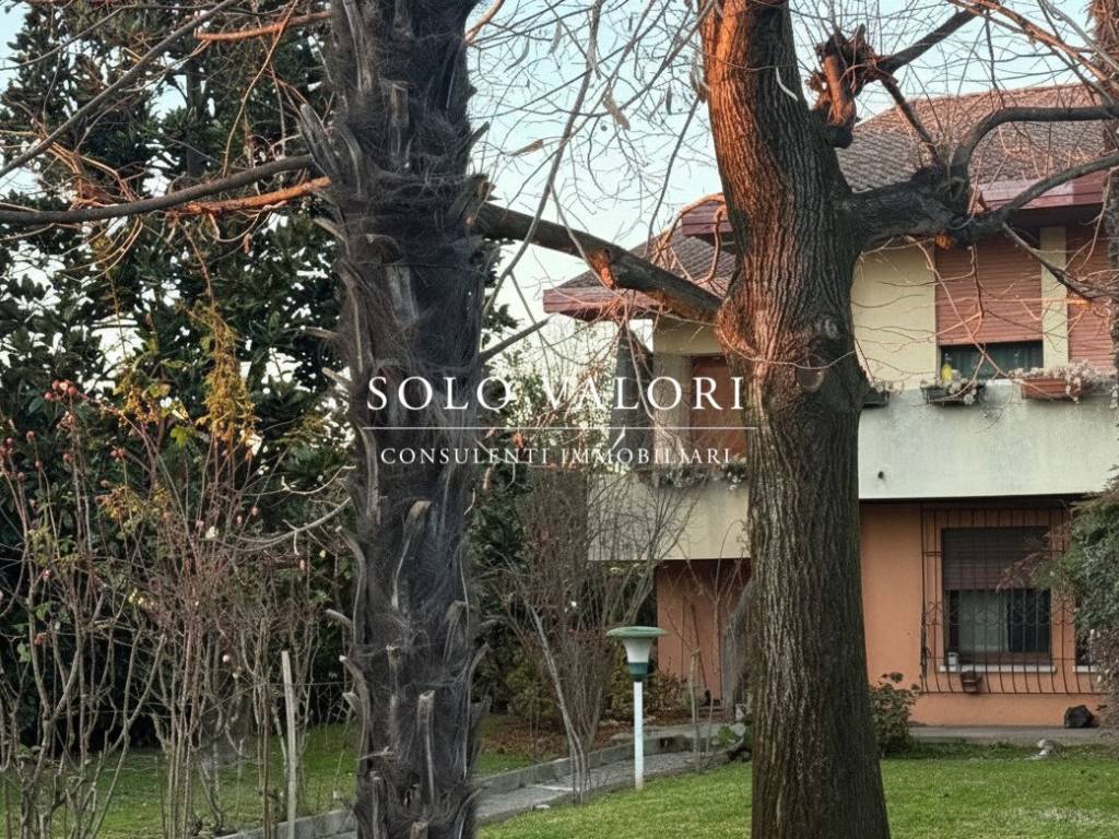casa indipendente in vendita a Castelfranco Veneto